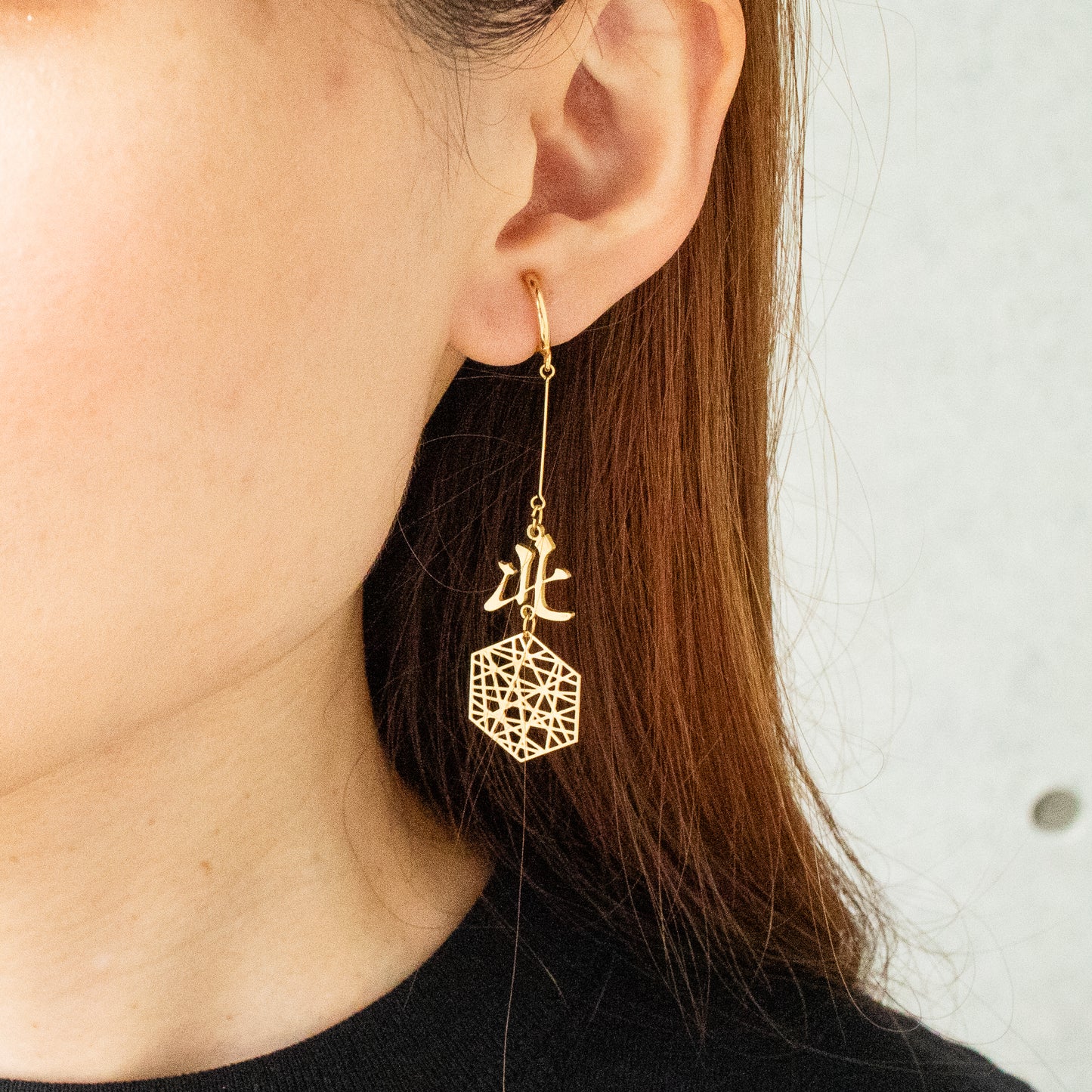 pei hexagon earrings