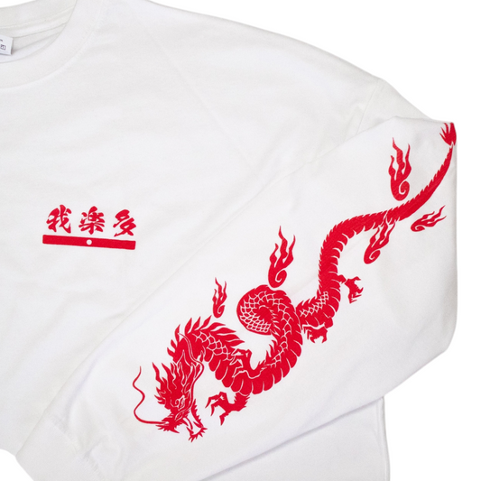 dragon big T-shirt (long sleeve)